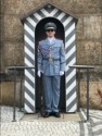 A palace guard